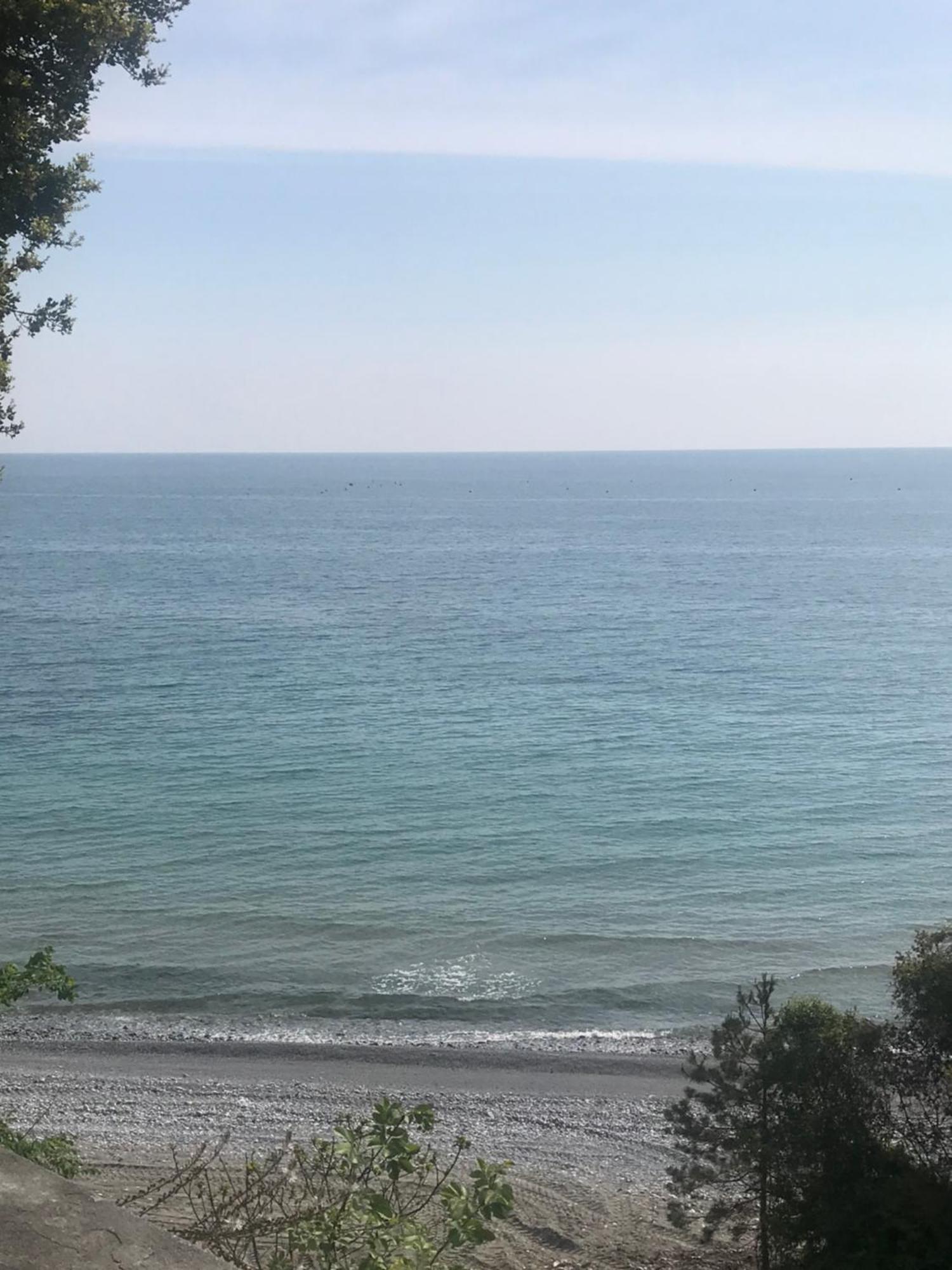Zeusplace Seaside Home Private Beach And Parking Plaka Litochorou Exterior photo