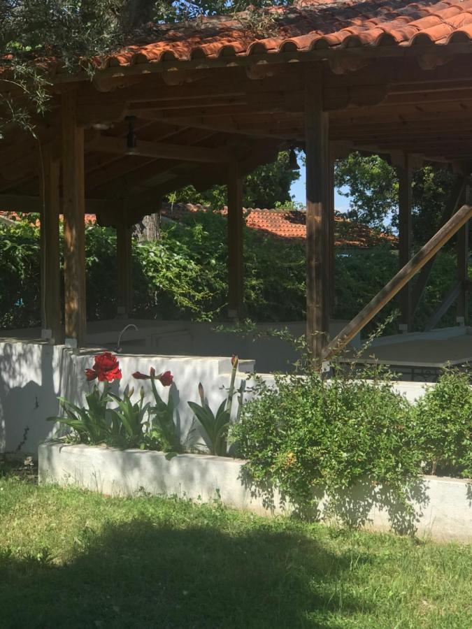 Zeusplace Seaside Home Private Beach And Parking Plaka Litochorou Exterior photo